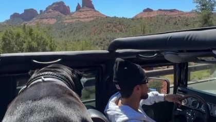 单身狗？布克驾驶悍马出游 只有狗狗陪伴左右