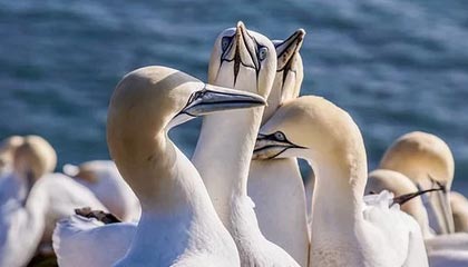 lol投注-开云体育下载：开启你的专属体育新纪元