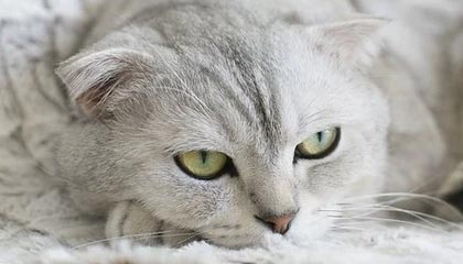 lol竞猜-开云：开启云端生活的新纪元